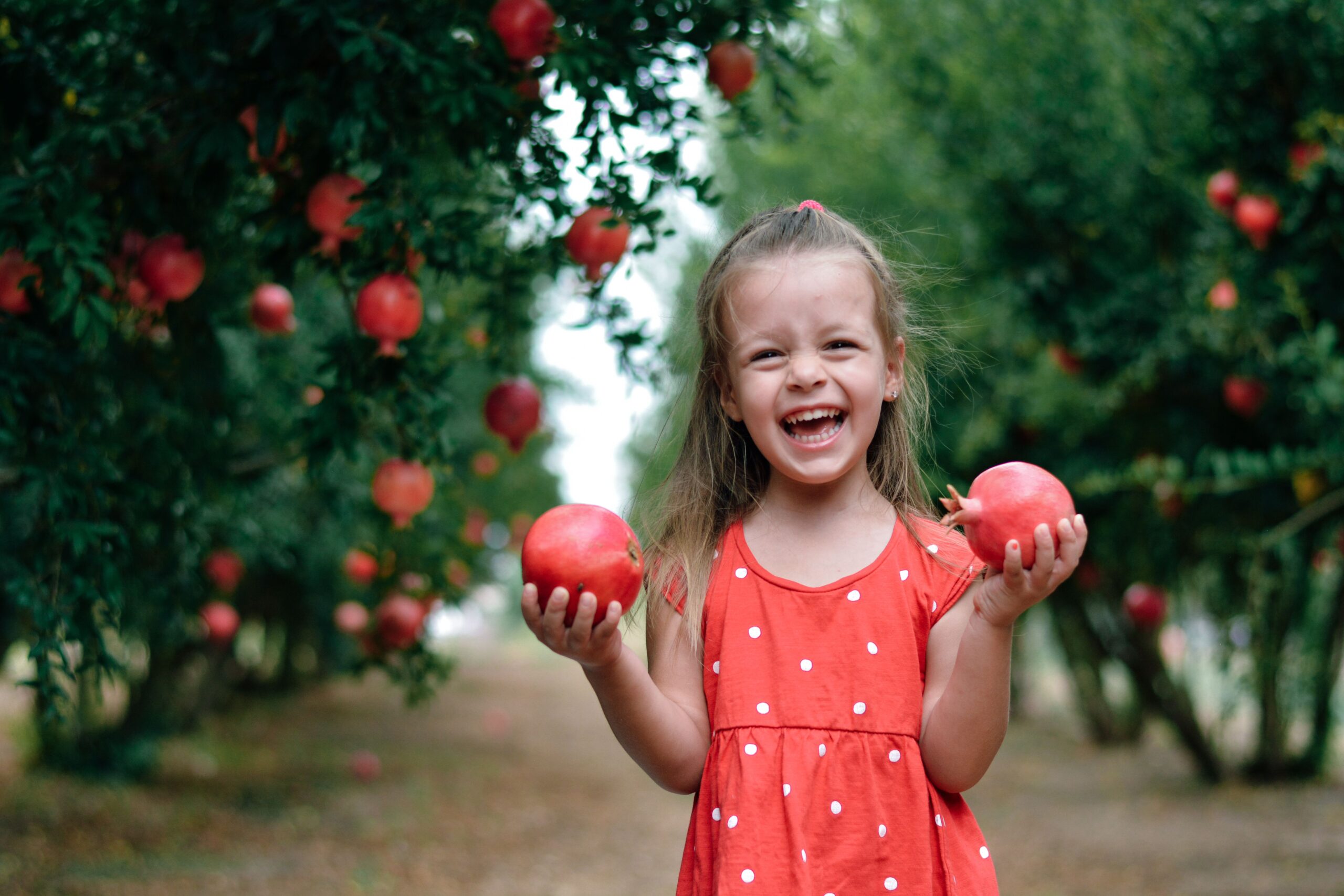 Girl in a red dress in a pomegranate orchard