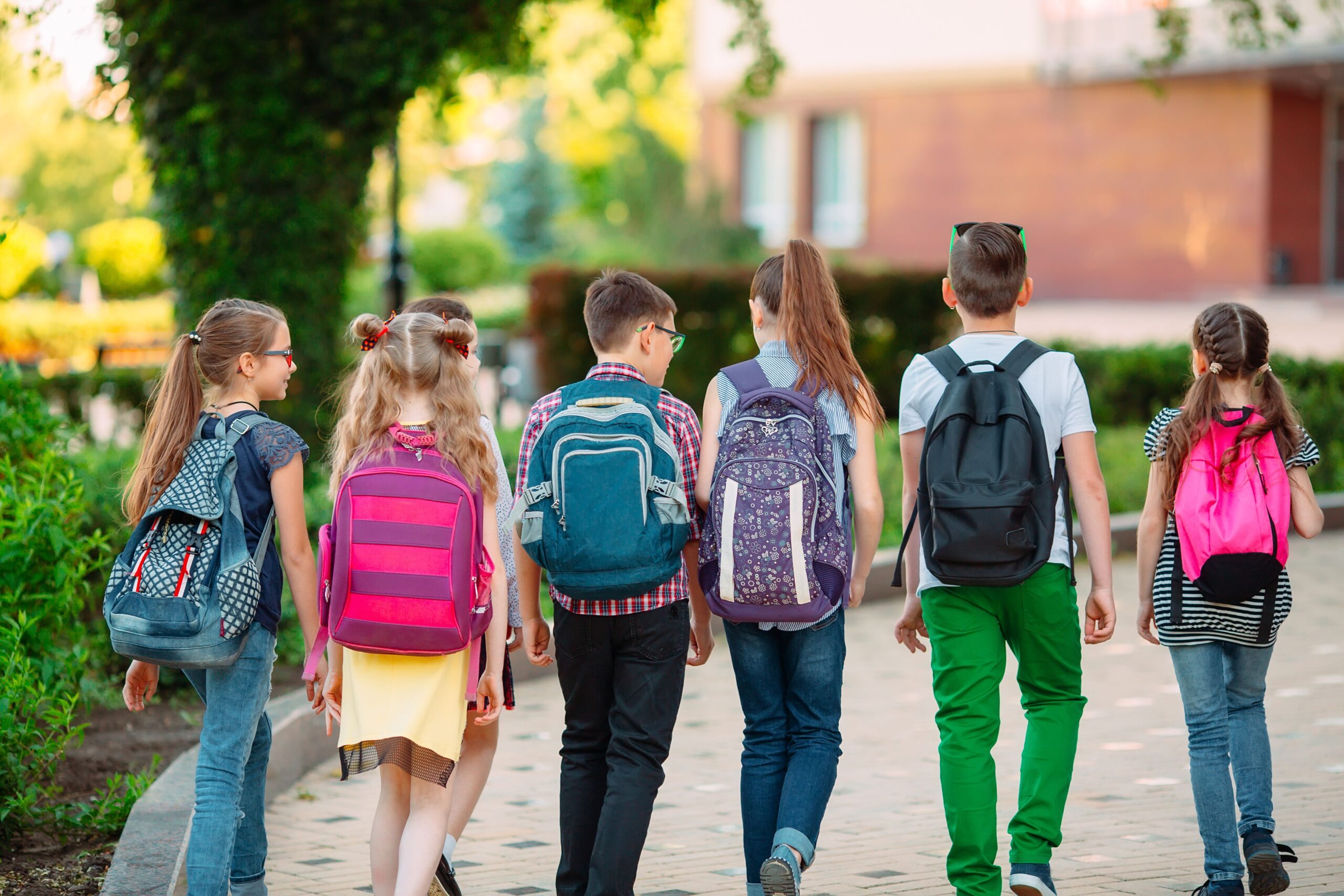 Building Resilience in Children By Working With the School System