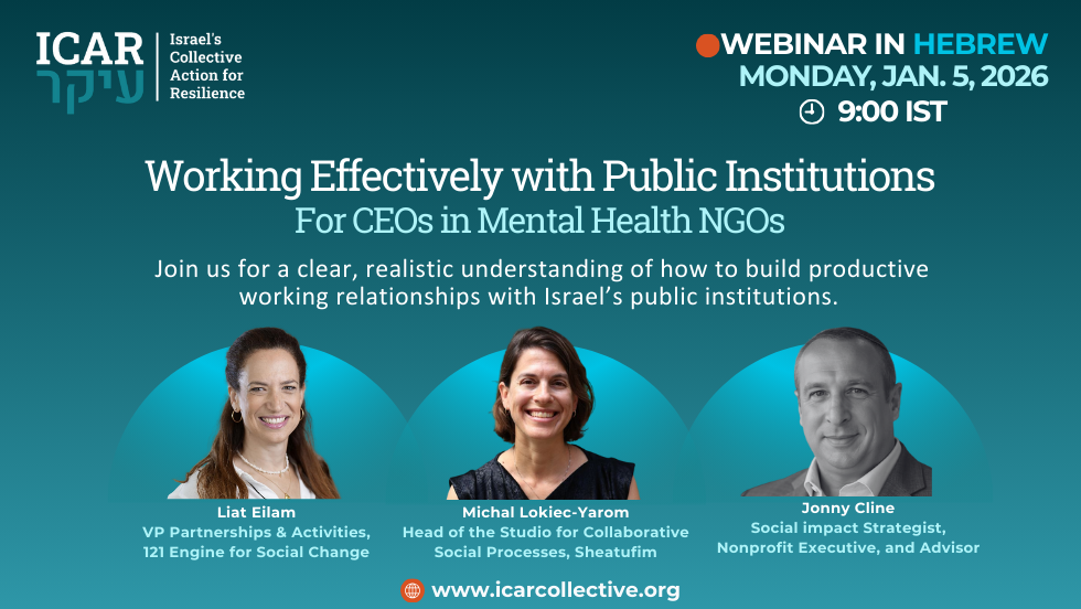 Working Effectively with Public Institutions